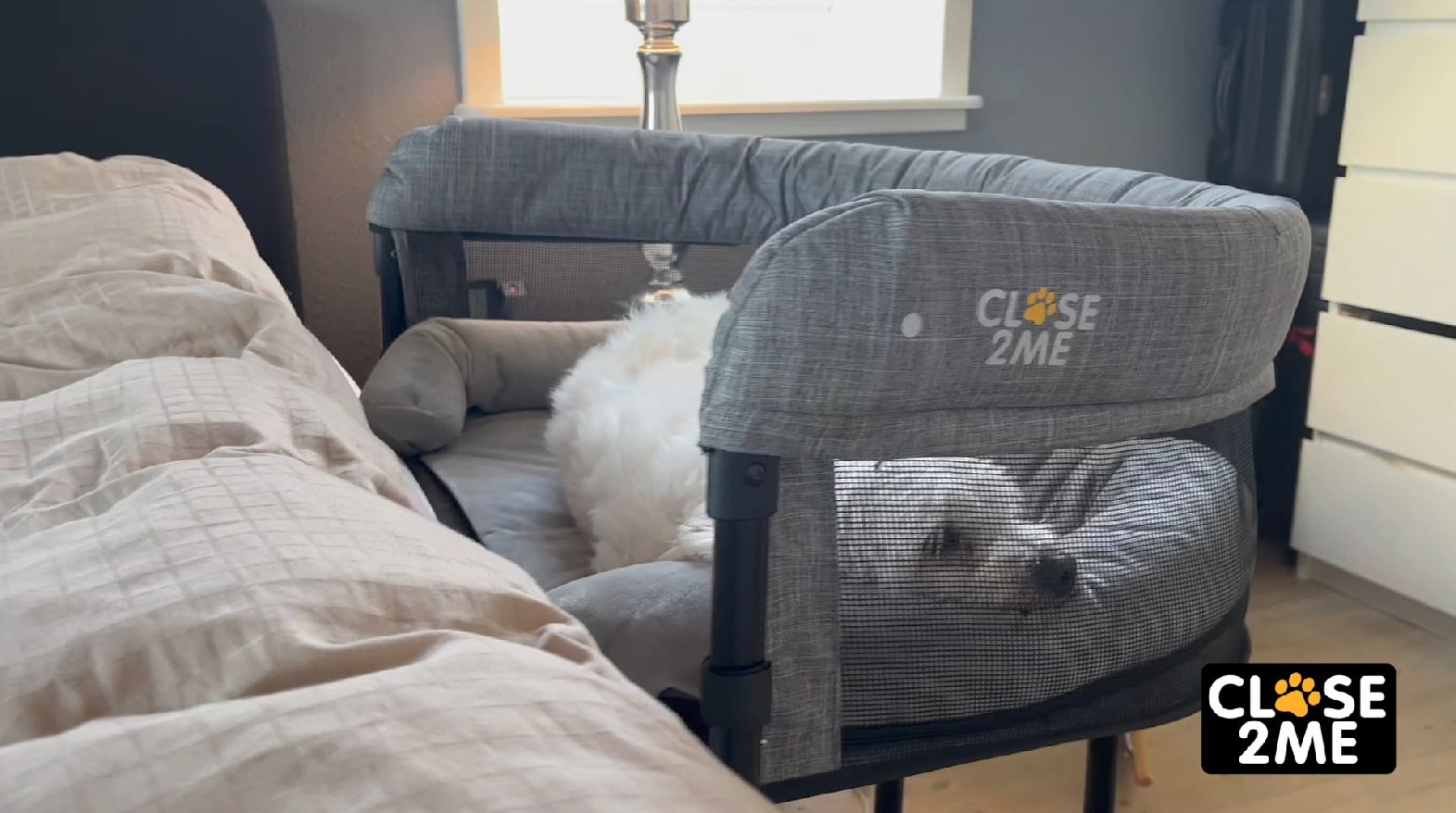 RETOURE-RÜCKLÄUFER: Close2Me Happy - Haustier-Beistellbett für Hund und Katze bis 12 kg
